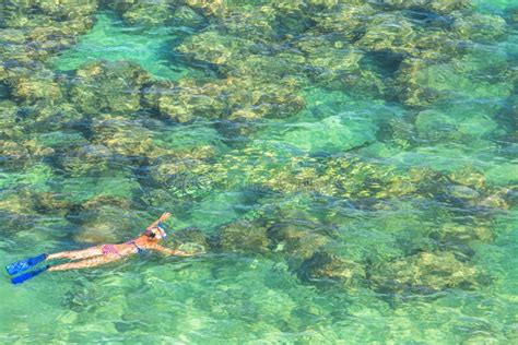 Snorkeling In Hanauma Bay Stock Photo Image Of Fins 93856694