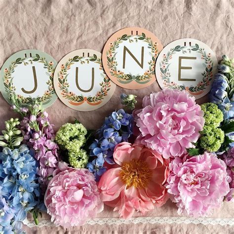 Hello June Have The Most Wonderful Start To The New Month Xo By