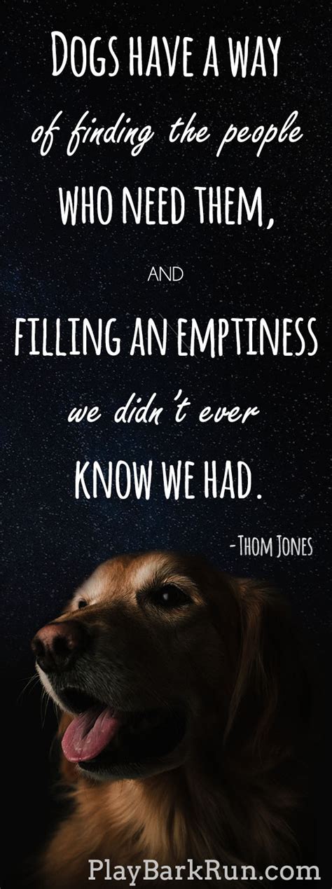 28 Inspirational Dog Quotes About Life And Love Playbarkrun
