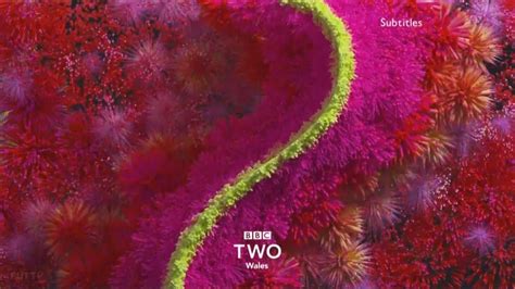 Bbc Two Wales Hd Continuity 26th October 2018 4 Youtube