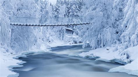 Bridge Above Water Between Snow Covered Forest Hd Nature Wallpapers