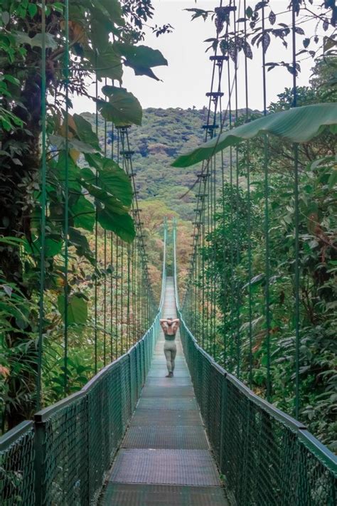Why You Need To Visit The Monteverde Cloud Forest In Costa Rica