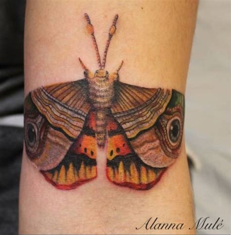 Realistic Moth Tattoos In Moth Tattoo Butterfly Tattoo