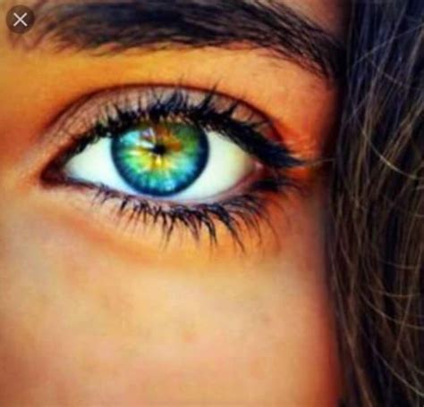 What Is The Most Attractive Color To The Human Eye Tera Clara