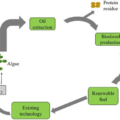 4 Fourth Generation Biofuel Sources And Production Download