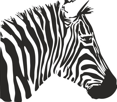 Zebra Stencil Free Vector Cdr Download