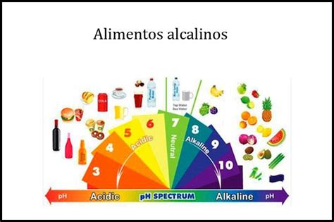 Lista de alimentos alcalinos sus propiedades y beneficios La Guía de