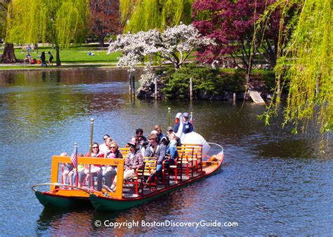 Bostons Public Garden 10 Top Attractions Boston Discovery Guide
