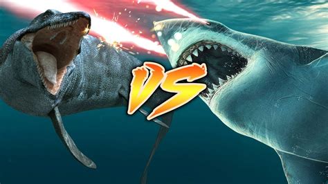 Mosasaurus Compared To Megalodon Megalodon Because Both Possible Genera Begin With The Letter C