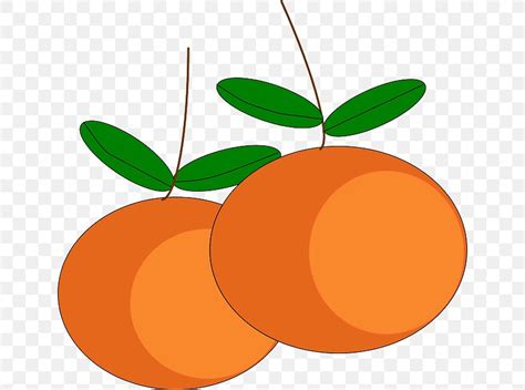 Mandarin Orange Tangerine Orange Juice Clip Art Png 640x609px