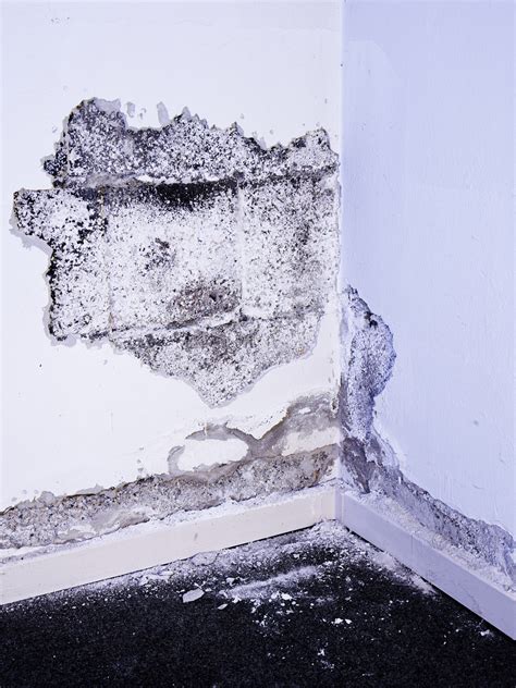 Neben einer chemischen schimmelbekämpfung ist oft auch eine erneuerung der bausubstanz nötig. Schimmelsanierung - Malerfachbetrieb Hartwig GmbH