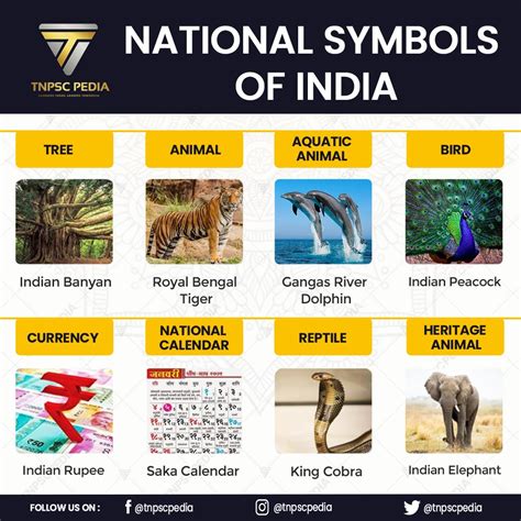 National Symbols Of India Part Gernal Knowledge General Knowledge Facts Healthy And