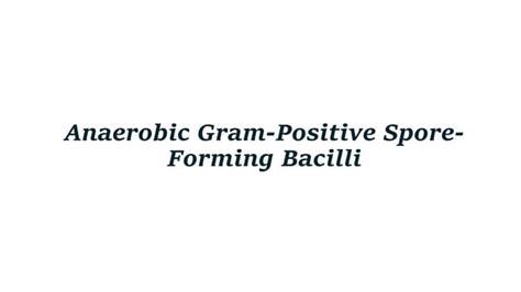 Anaerobic Gram Positive Spore Forming Bacilli Ppt
