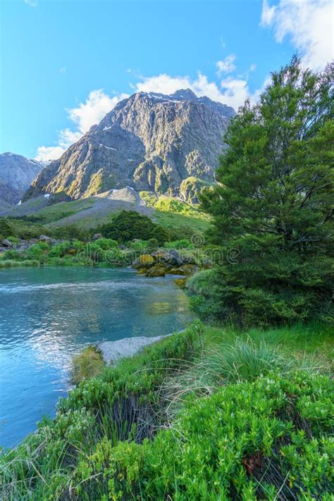 Turquoise River In The Mountains Fiordland New Zealand 5 Stock Photo