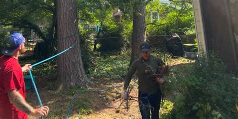 Tree Risk Assessment Qualification Isa Certified Arborists