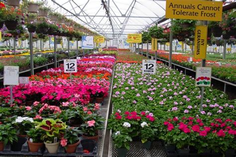Sjh nursery & landscaping sdn. Belgian Nursery Ltd - Landscape Ontario