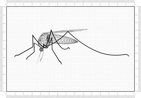 Gnat Drawings Stock Photos Pictures And Royalty Free Images Istock