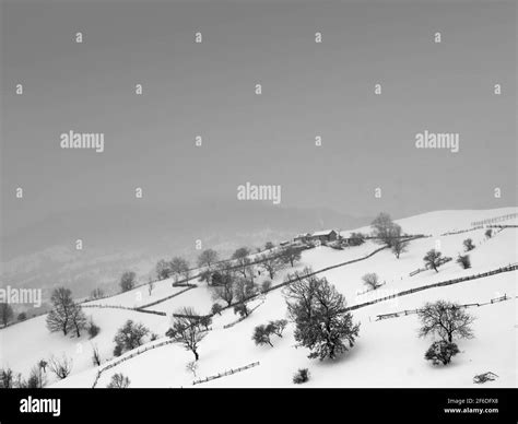 Black And White Landscape Of A Mountain Village In Carpathians Stock