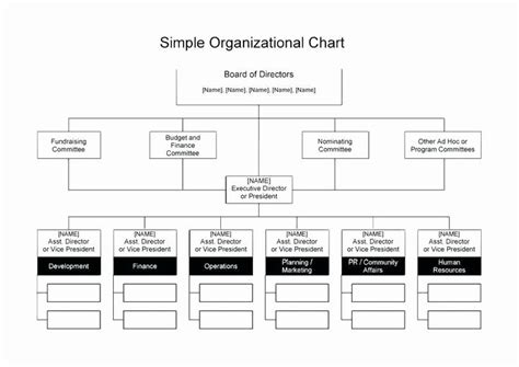 Non Profit Organizational Chart Template Unique Template Non Profit