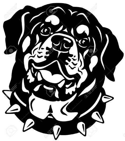 Rottweiler Cliparts Stock Vector And Royalty Free