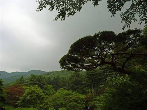 All About Nini South Korea Again The Garden Of Morning Calm
