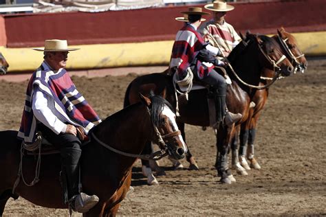 A+ better business bureau · all online · positive reviews El rodeo: la tradición que apasiona como práctica ...