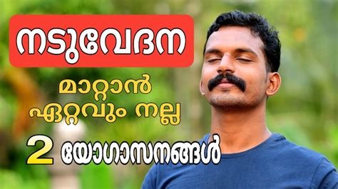 Here are all the possible meanings and translations of the word civet cat. Yoga for back pain in malayalam/ യോഗയിലൂടെ നടുവേദന മാറ്റാം ...