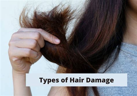 6 Types Of Hair Damage Cause Identification And How To Fix Them