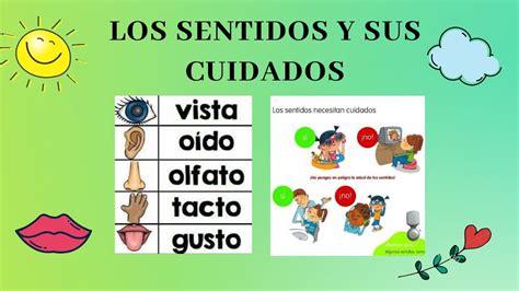 El Cuidado De Los 5 Sentidos