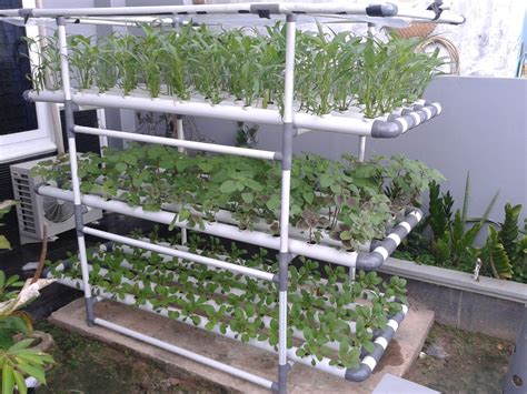 How To Make Easy Hydroponics At Home And Urban Farmer Independent