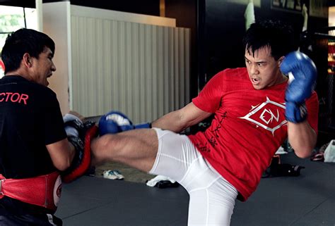 9 Reasons Why Mixed Martial Arts Is The Perfect Sport Evolve Daily