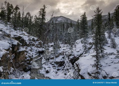 Adams Falls Rocky Mountain National Park Stock Image Image Of