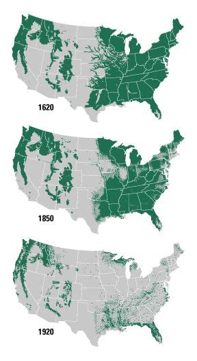 Mapa Del Estado De Los Bosques En Los Estados Unidos Y Su Regresión