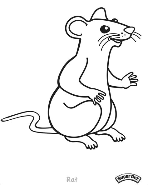 Rat Coloring Pages - ColoringBay