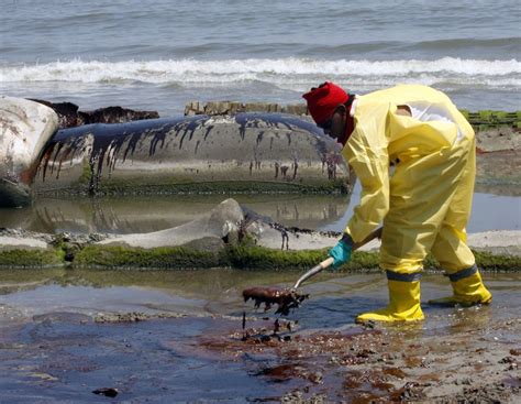 BP Oil Spill Left Bathtub Ring Of Oil Across The Gulf Floor UPI Com