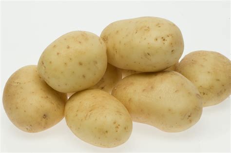 Potato Seed Certification Agriculture And Food
