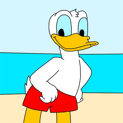 Donald Duck At Beach By Marcospower1996 On Deviantart
