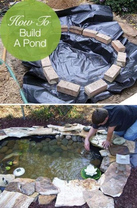 With the growing popularity of backyard vegetable gardens, backyard fish farming is becoming another popular source of food. #60 DIY Water Garden Ideas: Container and Pond Water Garden