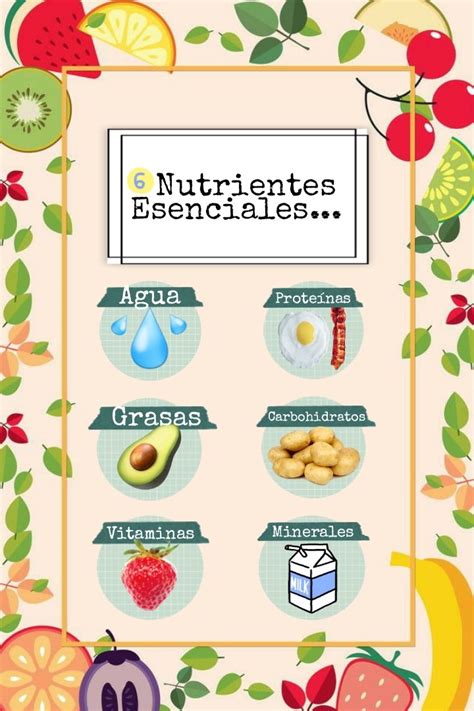 Los 6 Nutrientes Esenciales 👀 Yoors