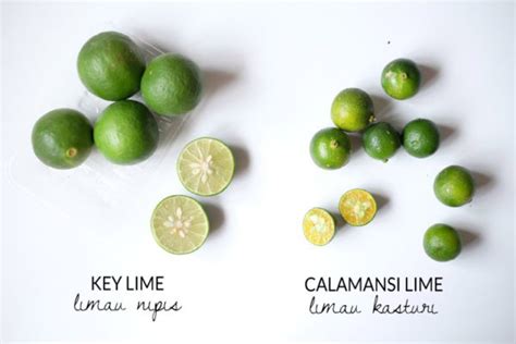 Buah limau nipis mengeluarkan bau yang wangi. Key Lime (Limau Nipis) & Calamansi lime (Limau Kasturi ...