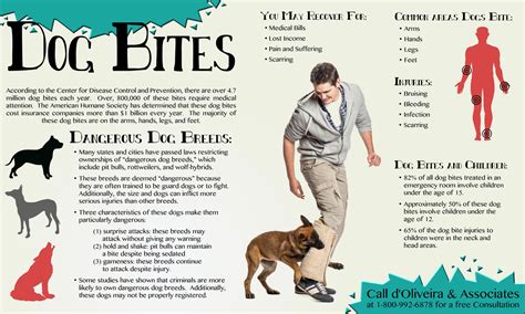 Dog Bite Injuries And The Dangers Dog Bites Pose Doliveira And Associates