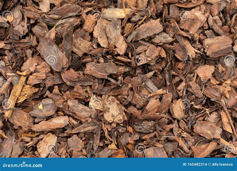 Wood Chips Texture Wooden Biomass Background Close Up Stock Photo