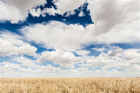 Clouds Wheat Field Landscapenature Agriculture Cloud Hd Wallpaper