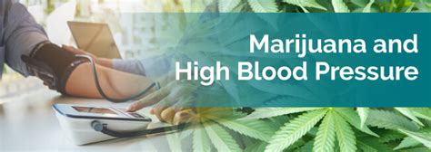 Low blood pressure and heart rate universally increase to normal levels after refeeding and restoration of normal weight. Marijuana for High Blood Pressure | Marijuana Doctors