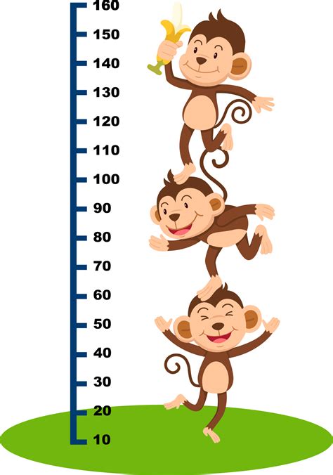 Meter Wall With Monkey Illustration 13452446 Png