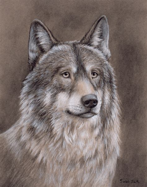 Original Art Wolf Portrait In Charcoal On Toned Paper Etsy
