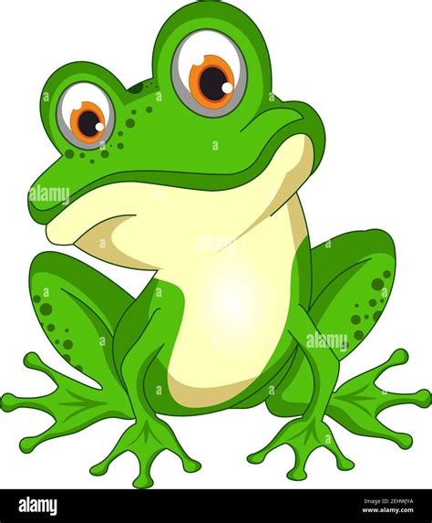 Green Smiling Vector Frog White Isolated Background Stock Vector Image