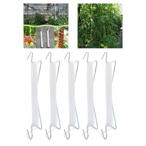 5pcs Plant Climbing Hooks Prevent Tomatoes From Pinching Or Falling Off