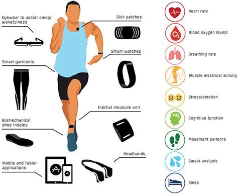 Different Classifications Of The Fitness Trackers Africa Beauty Expo