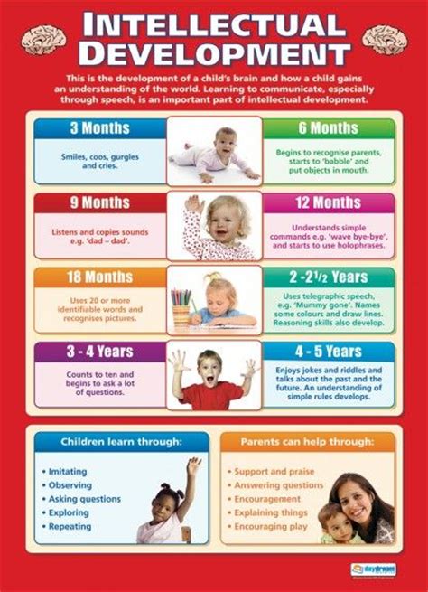 13 Best Child Development Posters Images On Pinterest School Posters